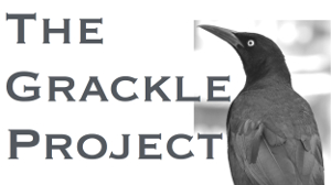 Grackle Project Logo