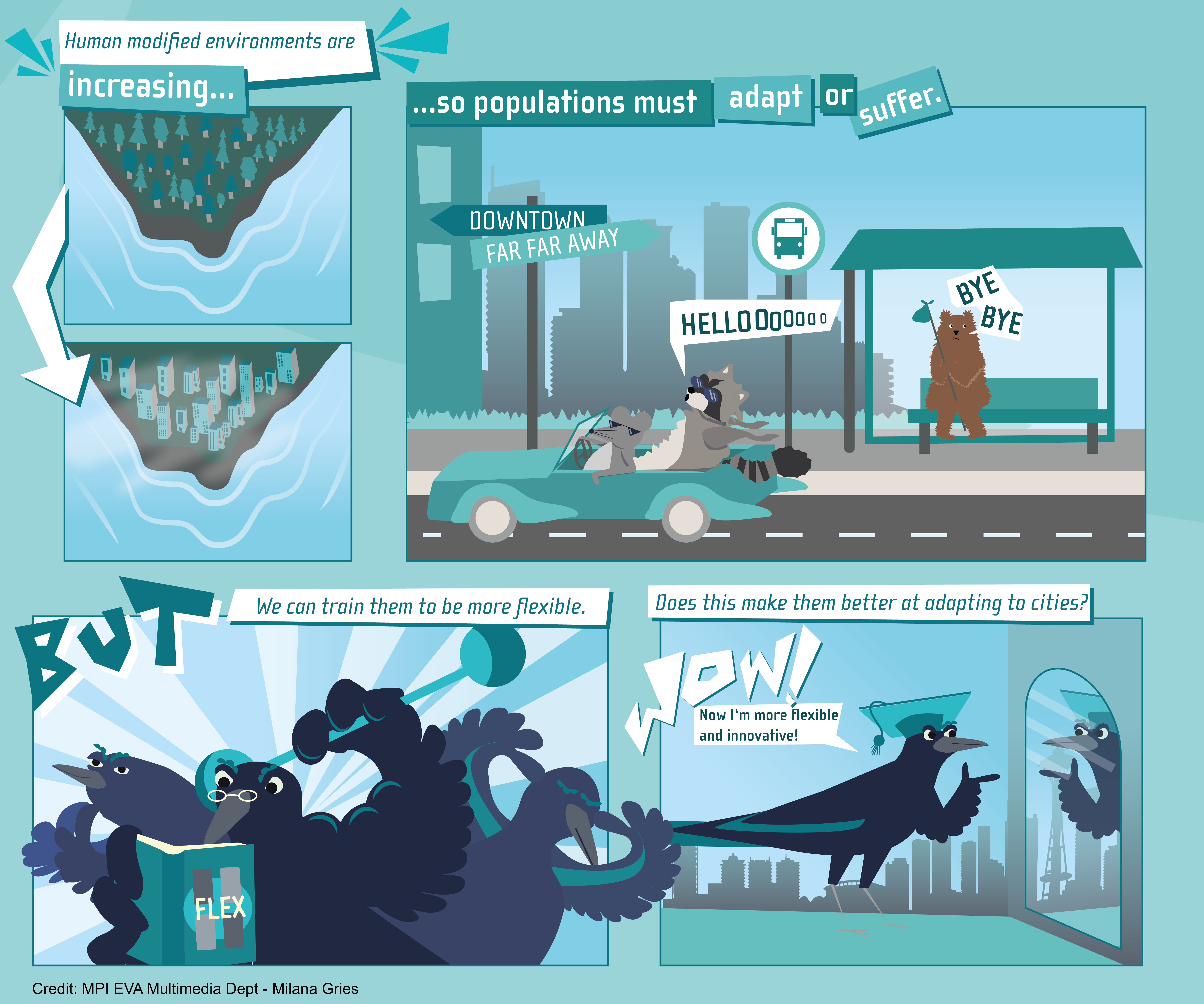 Cartoon of the ManyIndividuals plan